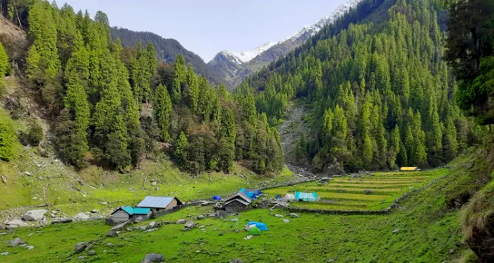 Paragliding in Bir Billing