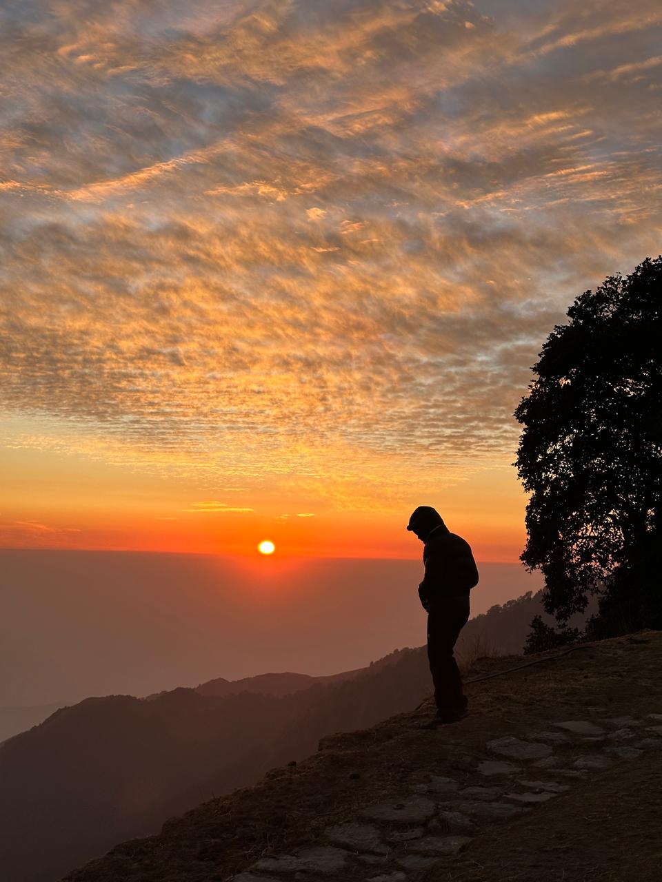 Shimla